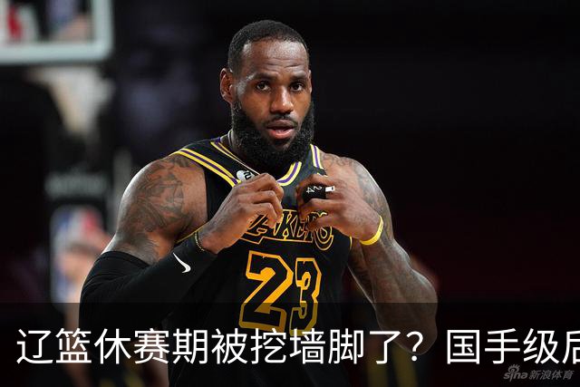 辽篮休赛期被挖墙脚了？国手级后卫恐被交易：变相逼着赵继伟走人