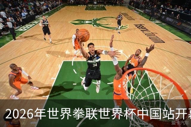 2026年世界拳联世界杯中国站开幕 赛事首次落户中国